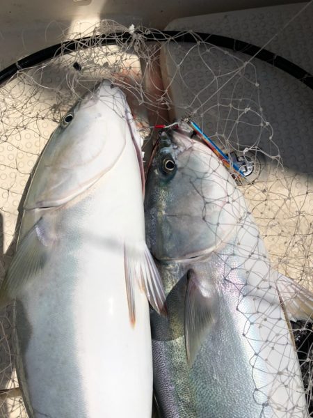 海友丸 釣果