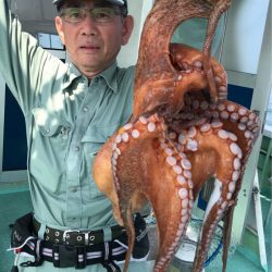 ヤザワ渡船 釣果