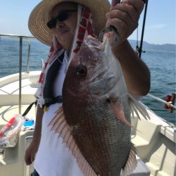 遊漁船メテオ 釣果