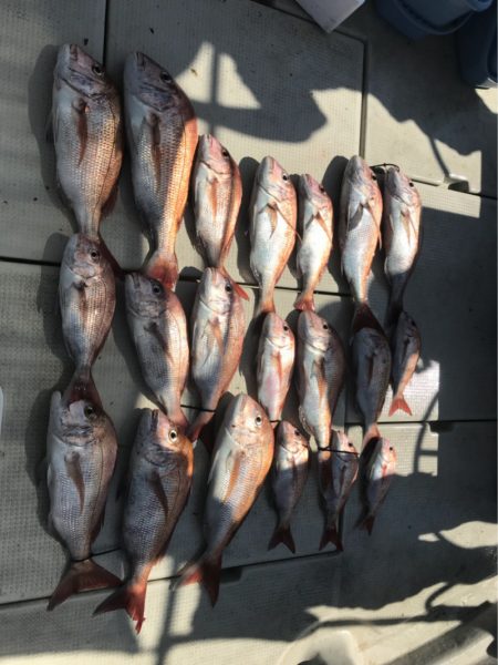 遊漁船メテオ 釣果