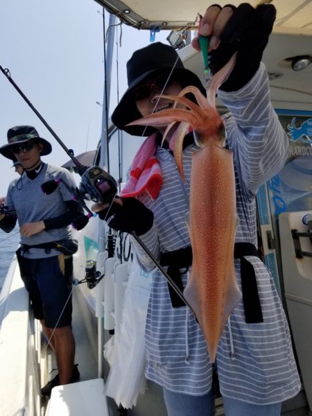 ソルトウォーターガイドフレンズ 釣果