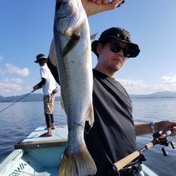 アマテラス 釣果