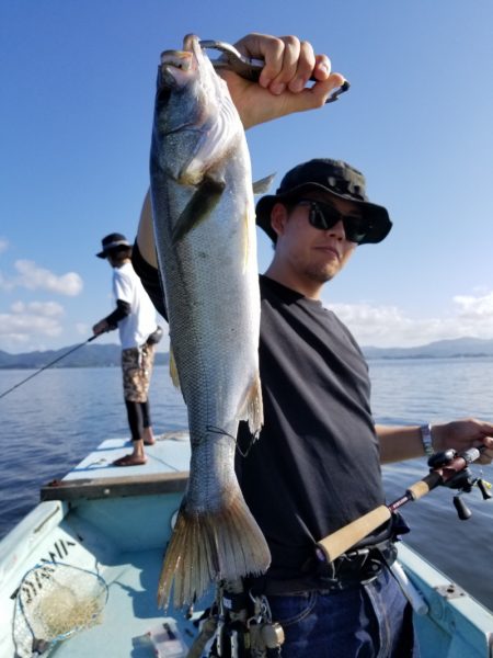 アマテラス 釣果