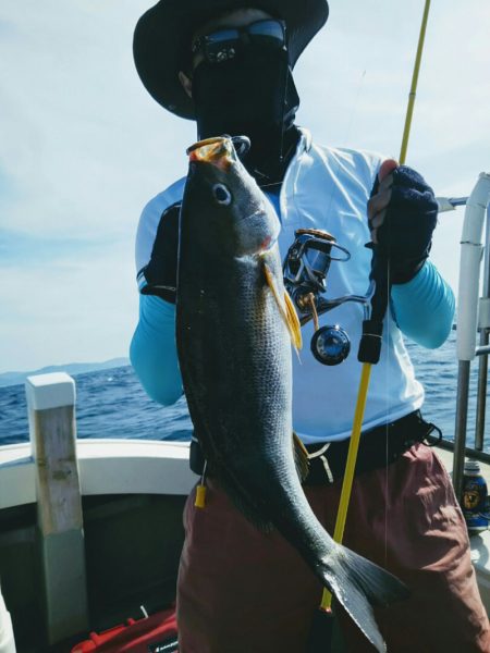光生丸 釣果