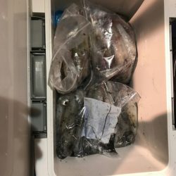 海龍丸(石川) 釣果