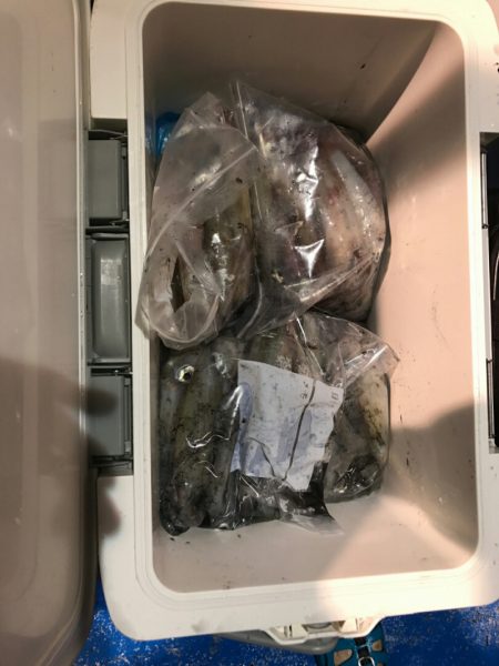 海龍丸(石川) 釣果