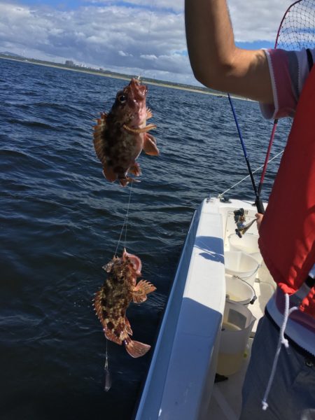 うさぎ丸 釣果