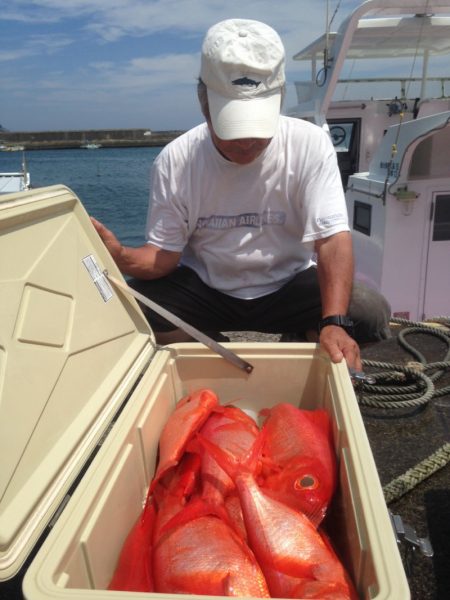 晃山丸 釣果