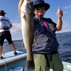 アマテラス 釣果