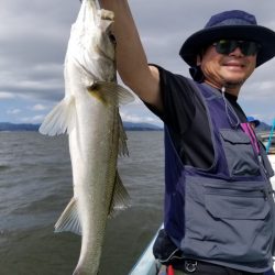 アマテラス 釣果