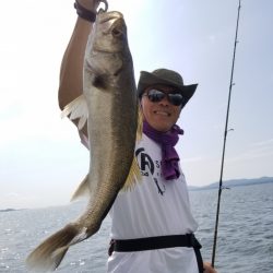 アマテラス 釣果