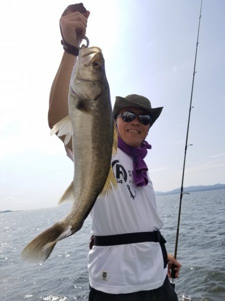 アマテラス 釣果