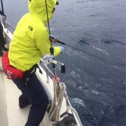 海友丸 釣果