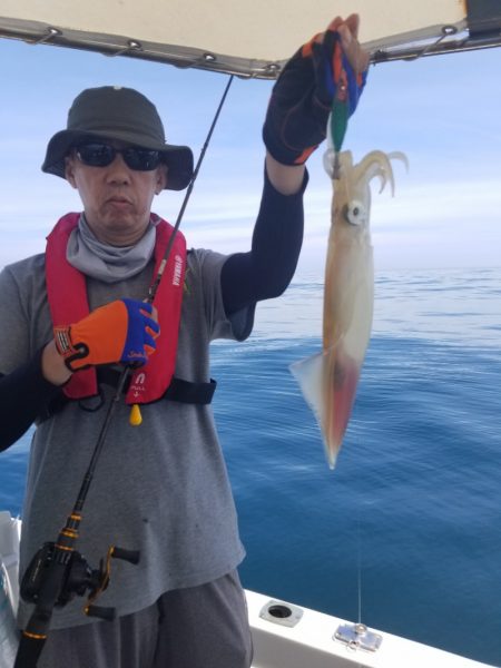 ソルトウォーターガイドフレンズ 釣果