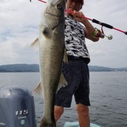 アマテラス 釣果