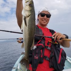 アマテラス 釣果