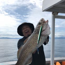 シーランチ 釣果