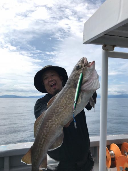 シーランチ 釣果