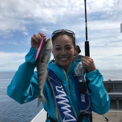 シーランチ 釣果