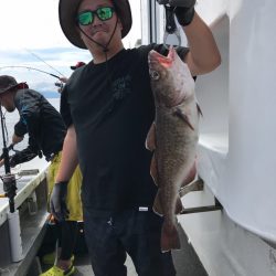 シーランチ 釣果