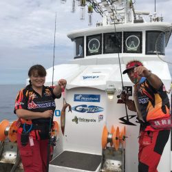 シーランチ 釣果