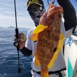 ソルトウォーターガイドフレンズ 釣果