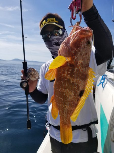 ソルトウォーターガイドフレンズ 釣果