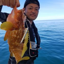 ソルトウォーターガイドフレンズ 釣果