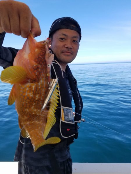 ソルトウォーターガイドフレンズ 釣果