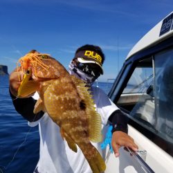 ソルトウォーターガイドフレンズ 釣果