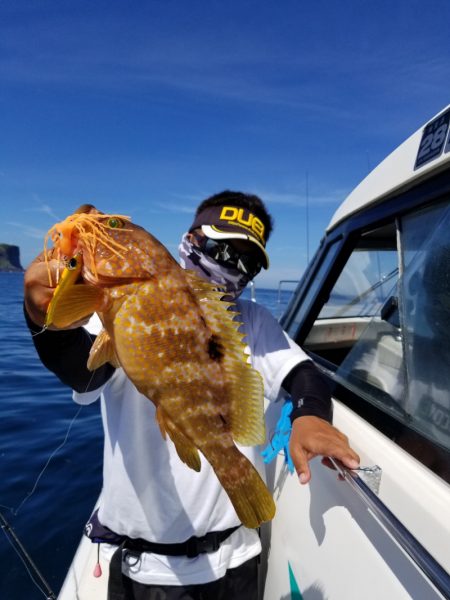 ソルトウォーターガイドフレンズ 釣果