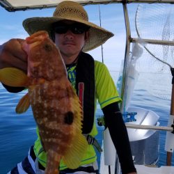 ソルトウォーターガイドフレンズ 釣果