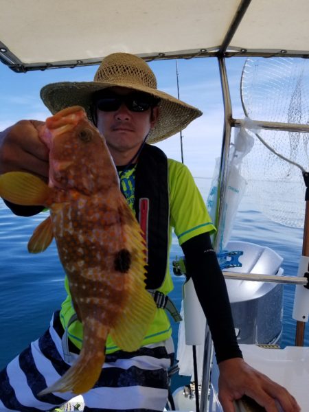 ソルトウォーターガイドフレンズ 釣果