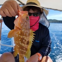 ソルトウォーターガイドフレンズ 釣果