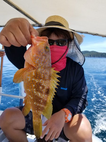 ソルトウォーターガイドフレンズ 釣果