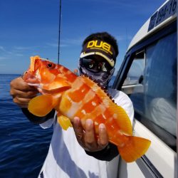 ソルトウォーターガイドフレンズ 釣果