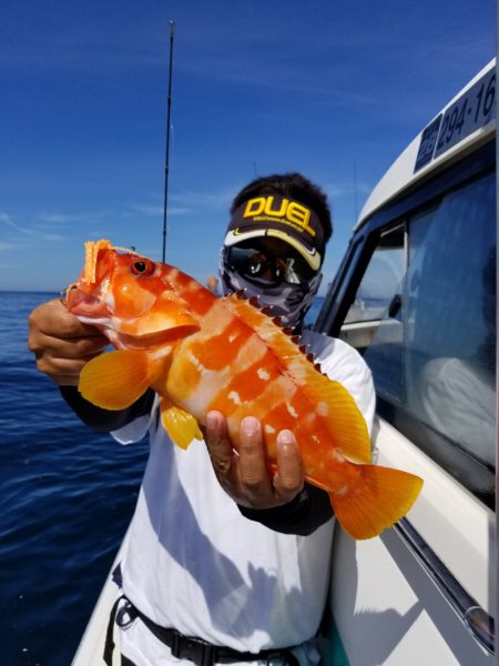 ソルトウォーターガイドフレンズ 釣果