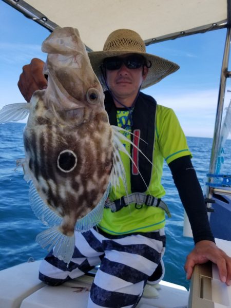 ソルトウォーターガイドフレンズ 釣果