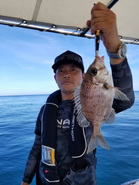 ソルトウォーターガイドフレンズ 釣果