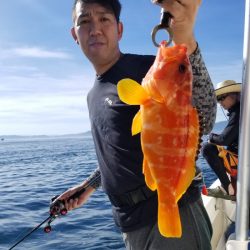 ソルトウォーターガイドフレンズ 釣果