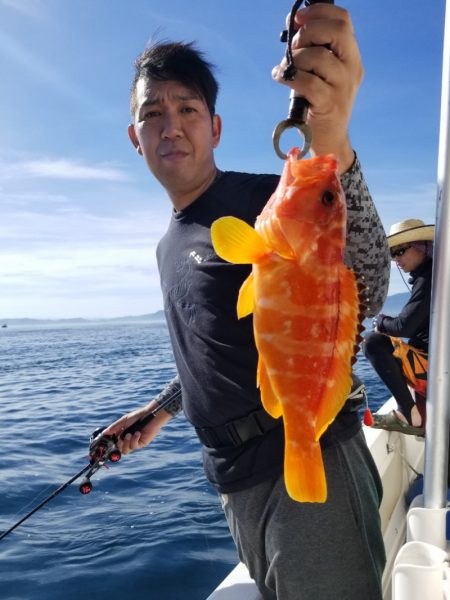 ソルトウォーターガイドフレンズ 釣果