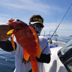 ソルトウォーターガイドフレンズ 釣果