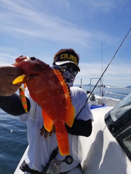 ソルトウォーターガイドフレンズ 釣果