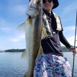 アマテラス 釣果