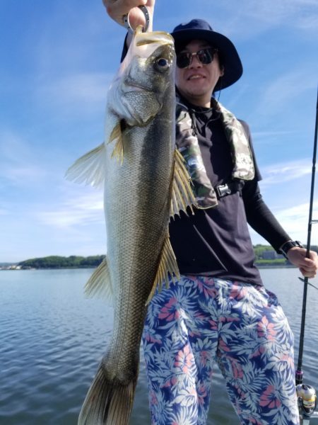 アマテラス 釣果