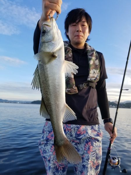 アマテラス 釣果