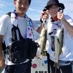 アマテラス 釣果