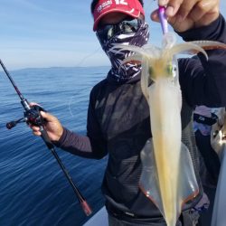 ソルトウォーターガイドフレンズ 釣果