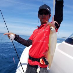 ソルトウォーターガイドフレンズ 釣果