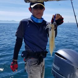 ソルトウォーターガイドフレンズ 釣果